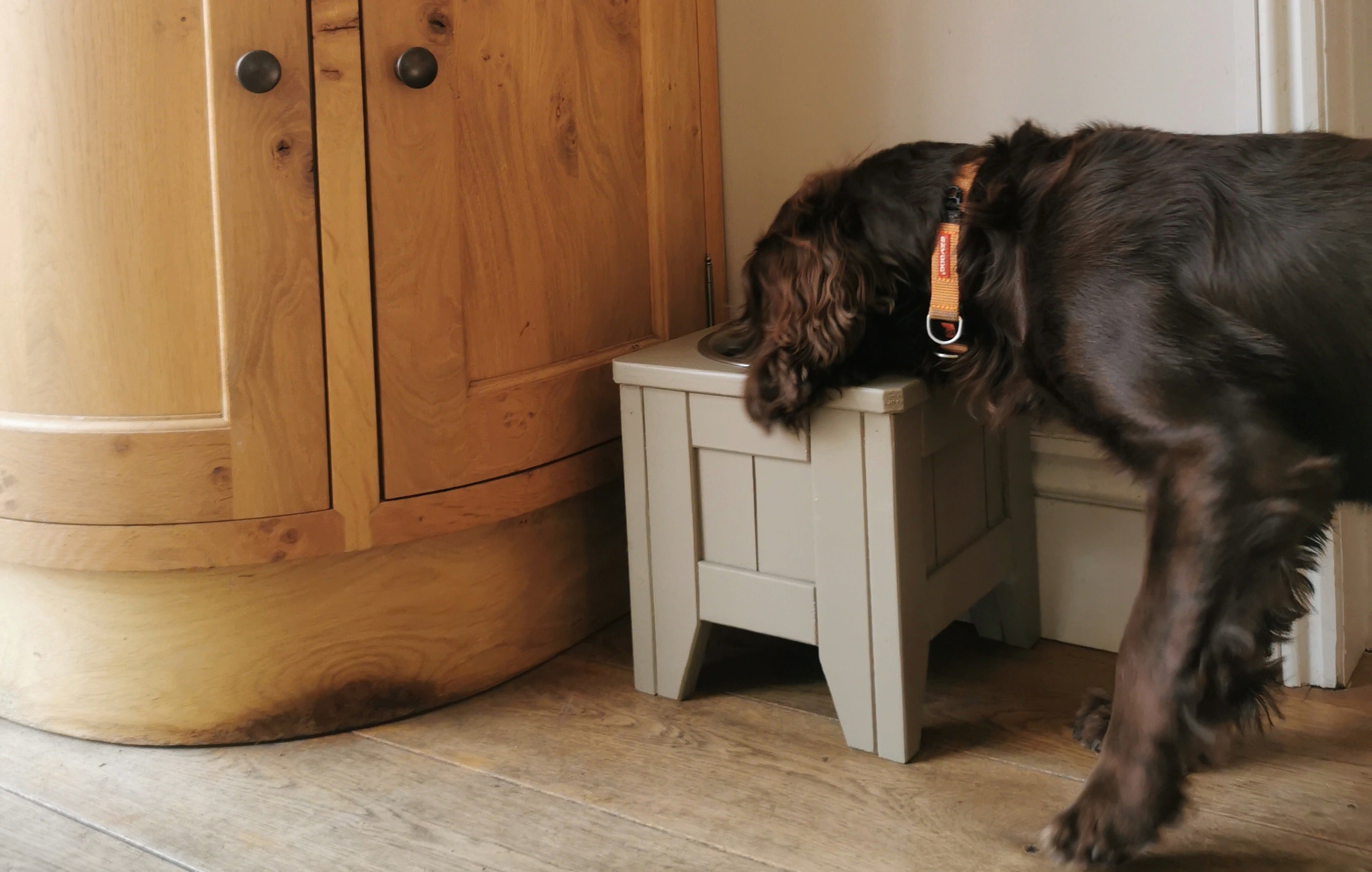 Brown Spaniel Eating from a Handmade wooden raised bowl in a country kitchen
