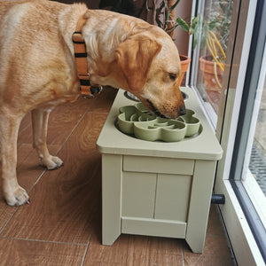 Dog eating from a green enrichment bowl on a raised handmade wooden feeding stand indoors