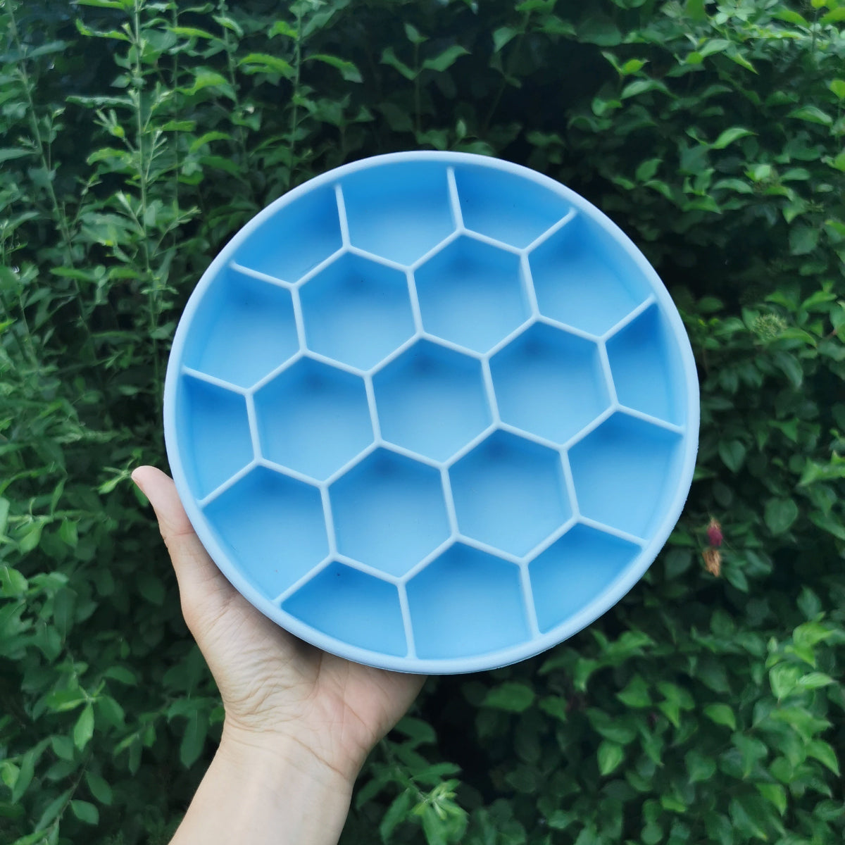 Blue honeycomb pattern deep enrichment bowl held in front of a green leafy background